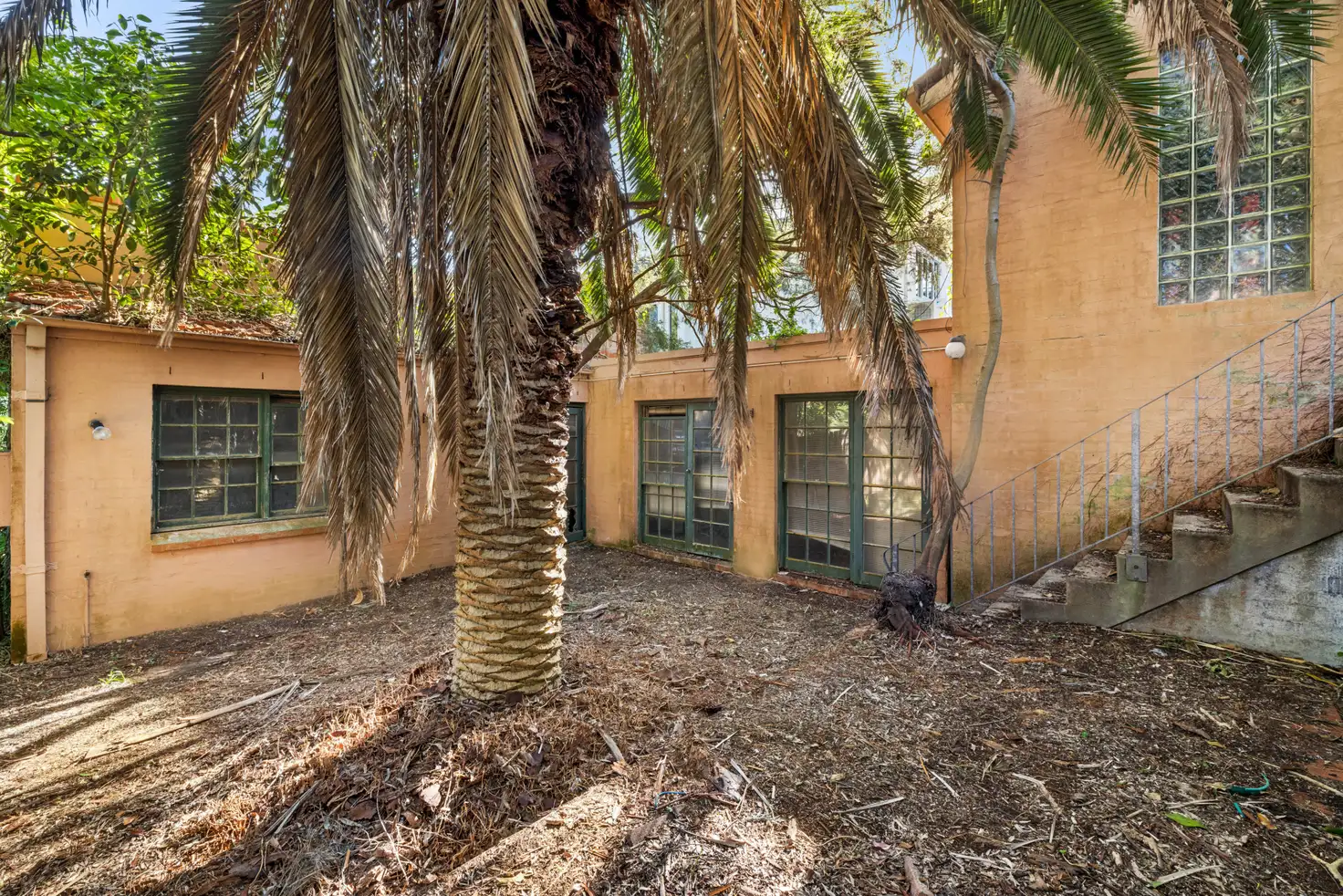 Main view of Homely house listing, 41 Palmerston Avenue, Bronte NSW 2024