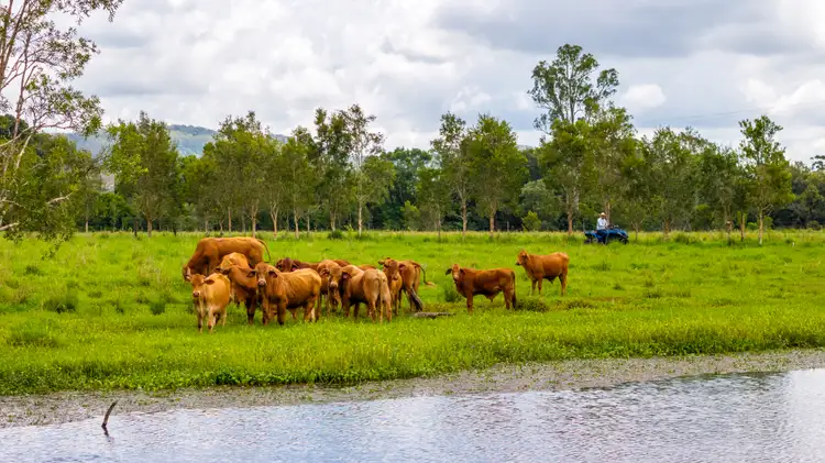 Fifth view of Homely rural property listing, 6 Canando Street, Woodford QLD 4514