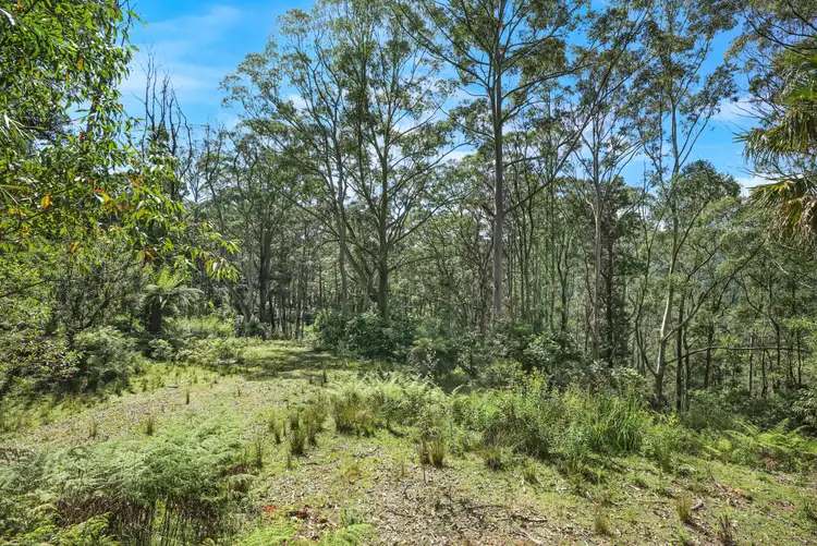 Sixth view of Homely rural property listing, 826 Mount Scanzi Road, Kangaroo Valley NSW 2577