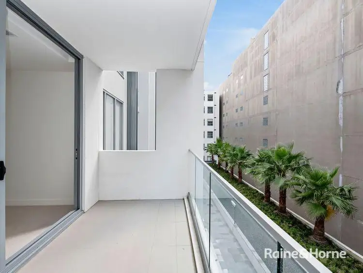 Fourth view of Homely apartment listing, C222/810-822 Elizabeth Street, Waterloo NSW 2017