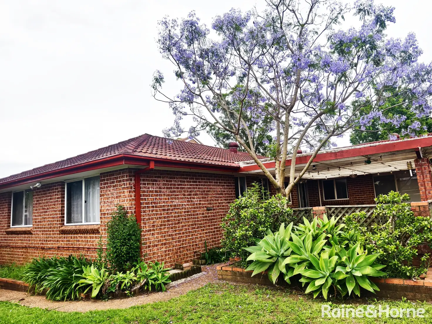 Main view of Homely house listing, 77 Sackville Street, Ingleburn NSW 2565