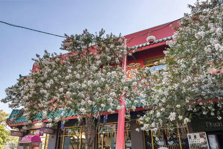 Second view of Homely unit listing, 1/8 Duncan Street, Fortitude Valley QLD 4006