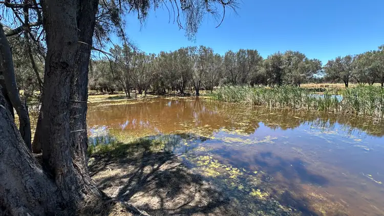 Third view of Homely land listing, 1863 Thomas Road, Oakford WA 6121