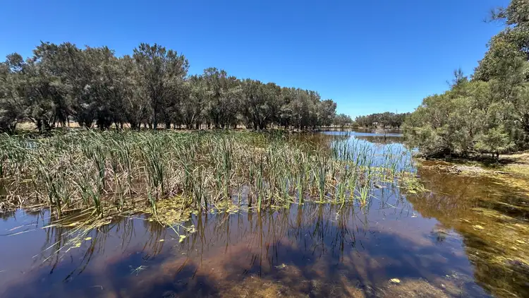Fourth view of Homely land listing, 1863 Thomas Road, Oakford WA 6121