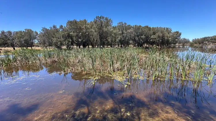 Sixth view of Homely land listing, 1863 Thomas Road, Oakford WA 6121