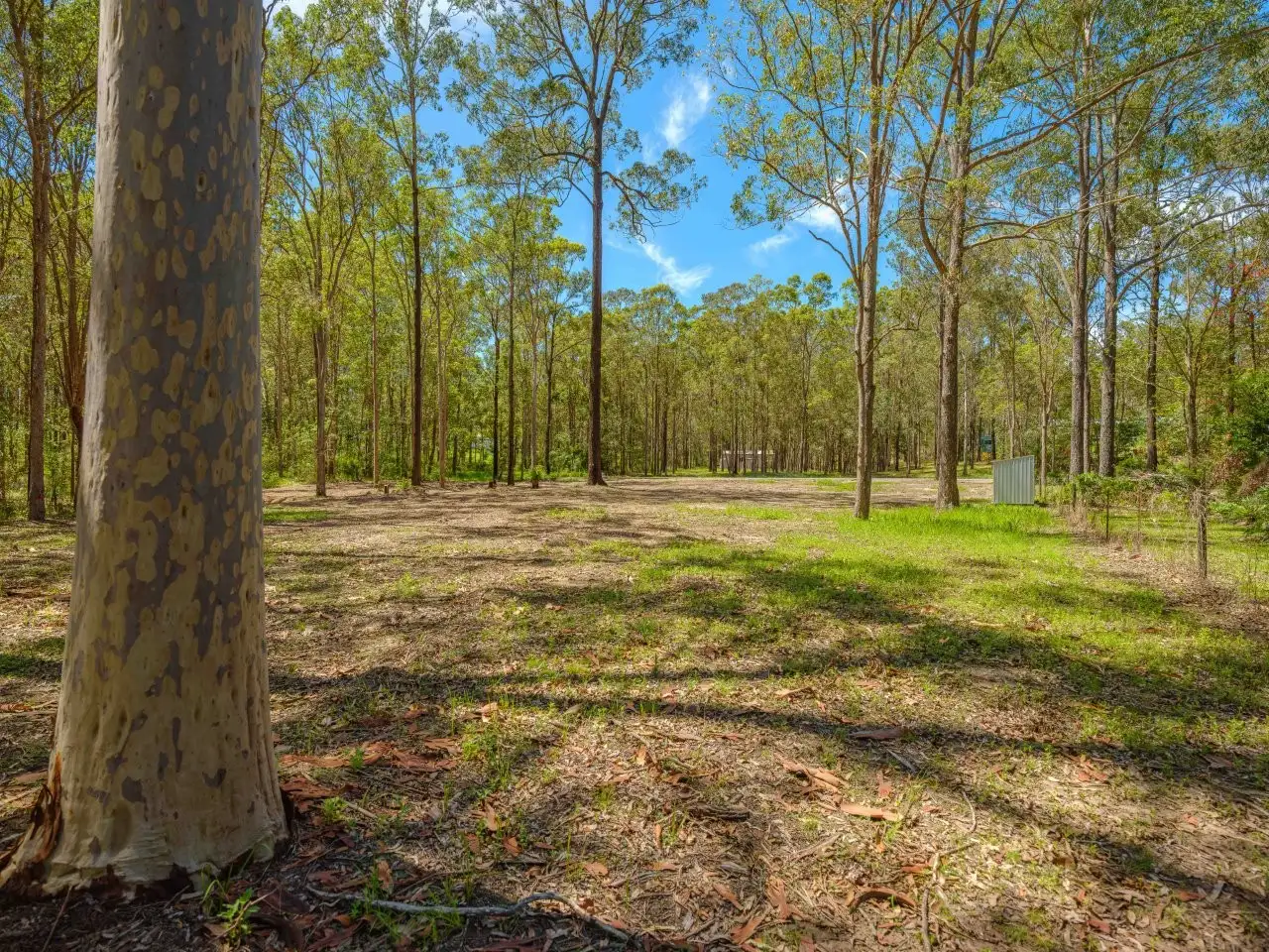 Main view of Homely land listing, Lot 309 Spiegel Road, Glenwood QLD 4570
