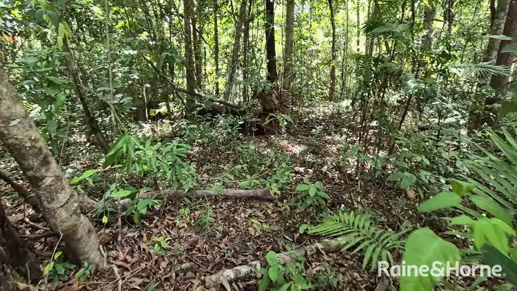 Seventh view of Homely land listing, Lot 183 Silky Oak Road COW BAY, Daintree QLD 4873