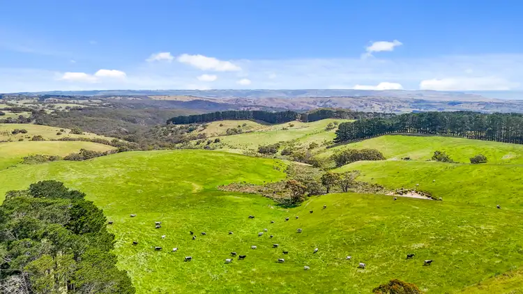 Third view of Homely rural property listing, 137 Faggotter Road, Myponga SA 5202