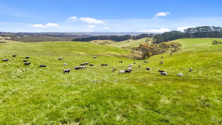 Fifth view of Homely rural property listing, 137 Faggotter Road, Myponga SA 5202