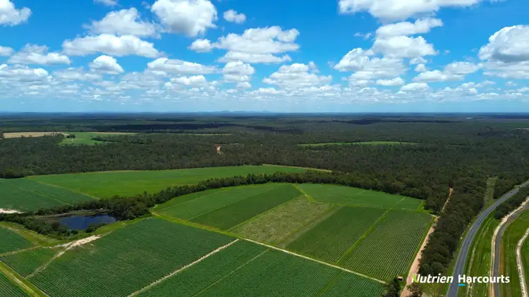 Second view of Homely rural property listing, 3392 Childers Road, Gregory River QLD 4660
