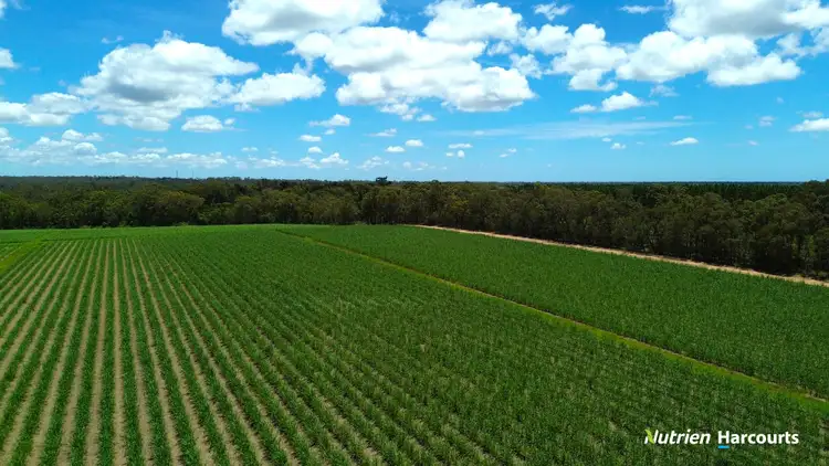 Third view of Homely rural property listing, 3392 Childers Road, Gregory River QLD 4660