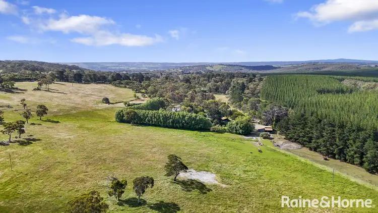 Second view of Homely rural property listing, 482 Peters Creek Road, Kuitpo SA 5201