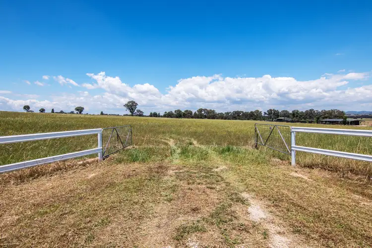 215 Black Lead Lane, Gulgong NSW 2852