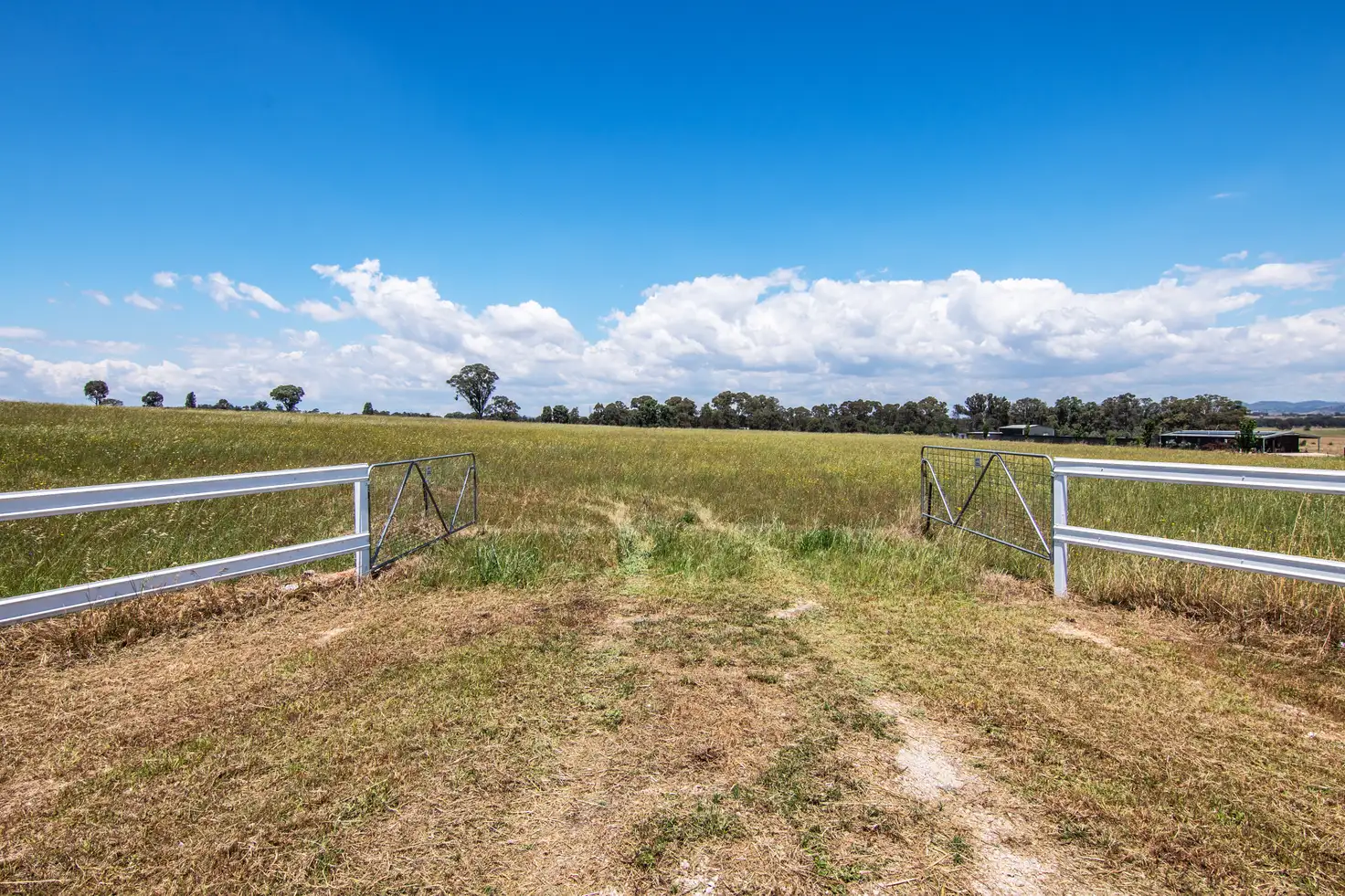 Main view of Homely land listing, 215 Black Lead Lane, Gulgong NSW 2852