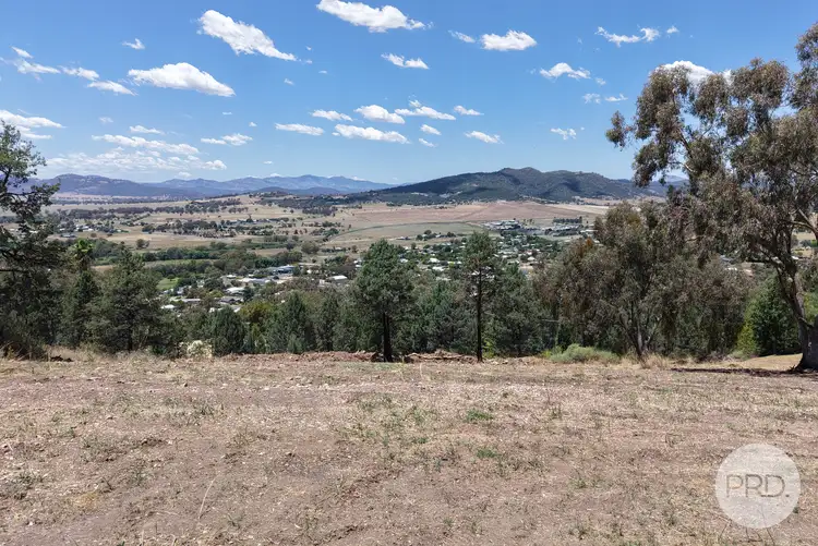 42 Ray Carter Drive, Quirindi NSW 2343