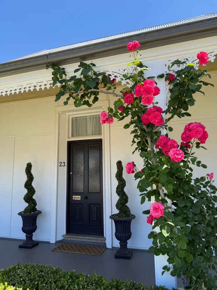 23 Forbes Street, Grenfell NSW 2810