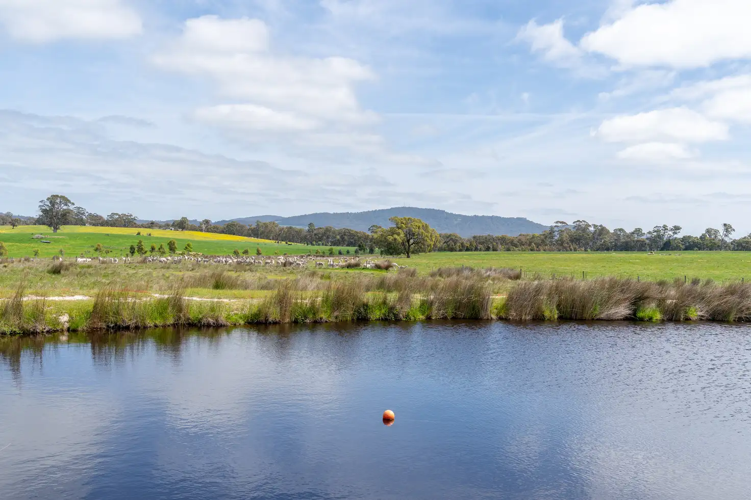 Main view of Homely rural property listing, 315 Coach Road, Strathbogie VIC 3666