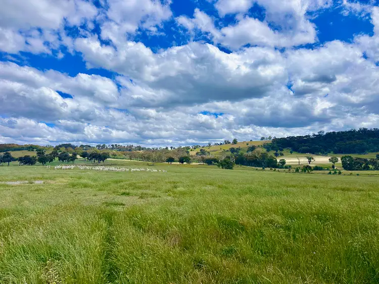 Fifth view of Homely rural property listing, 315 Coach Road, Strathbogie VIC 3666