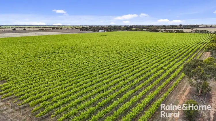 Fifth view of Homely rural property listing, A8 Milang Road, Angas Plains SA 5255