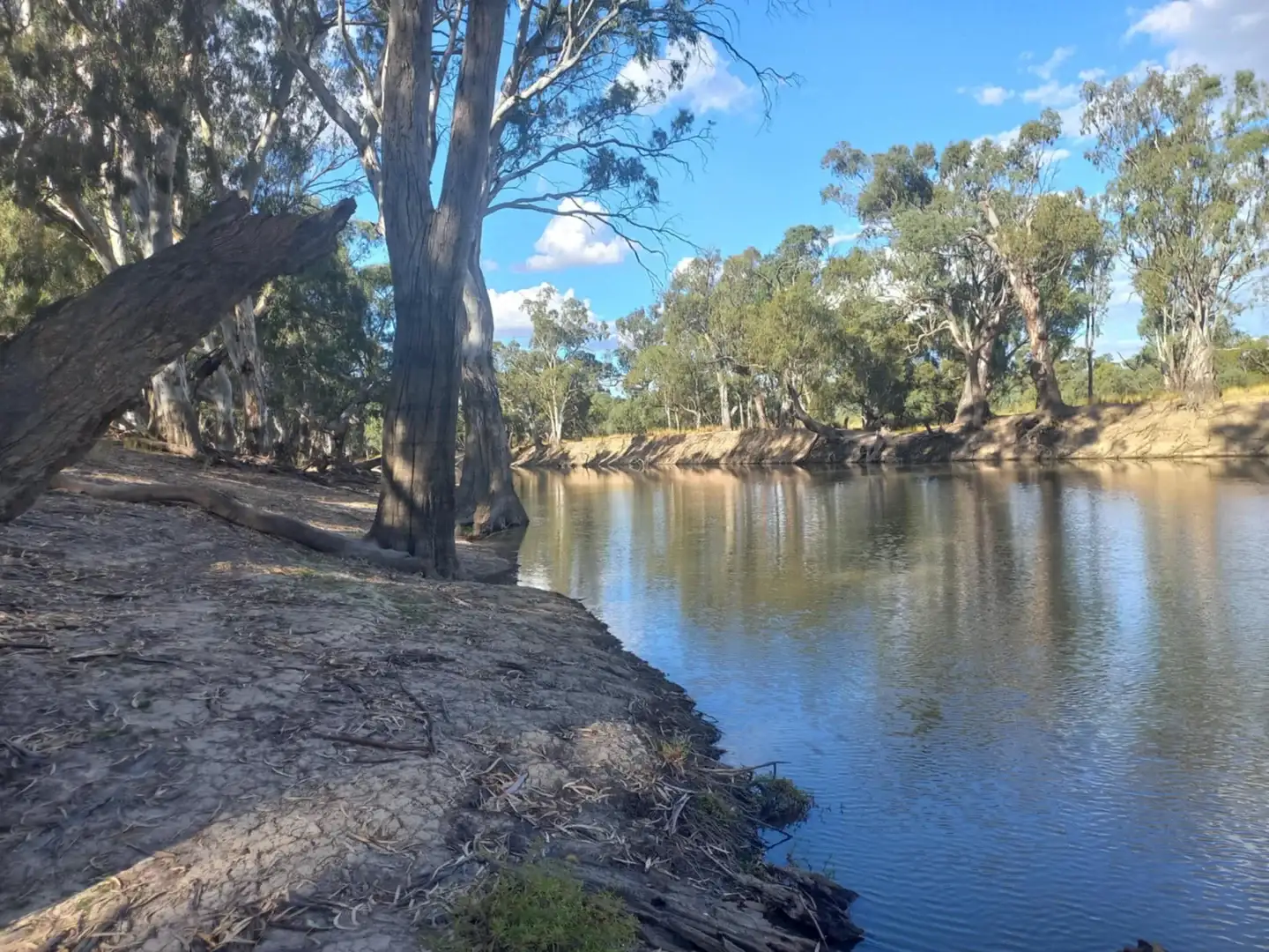 Main view of Homely rural property listing, 1207 Frasers Road, Niemur NSW 2733
