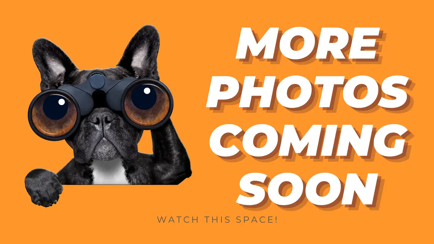 Main view of Homely house listing, 16 Buffalo Street, Baldivis WA 6171