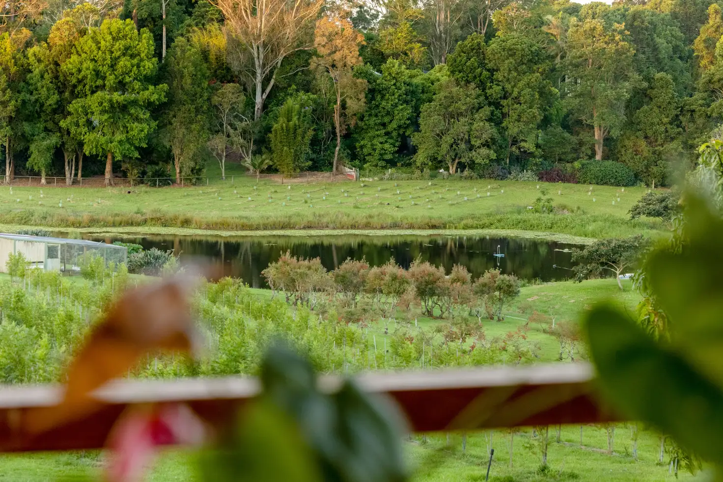 Main view of Homely house listing, 69 Cooke Road, Witta QLD 4552