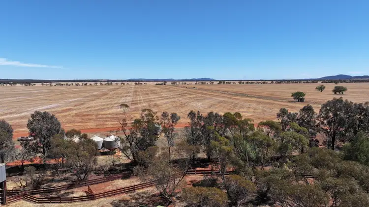 Part Farm 2974 Wollarma Road, Rankins Springs NSW 2669