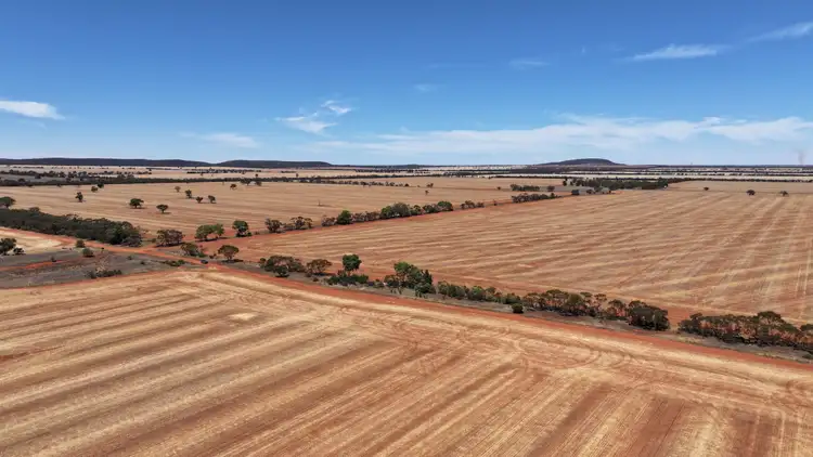 Sixth view of Homely rural property listing, Part Farm 2974 Wollarma Road, Rankins Springs NSW 2669