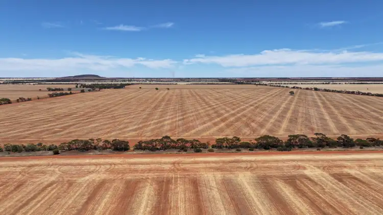 Seventh view of Homely rural property listing, Part Farm 2974 Wollarma Road, Rankins Springs NSW 2669