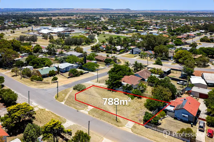 2 Hebe Street, Rangeway WA 6530
