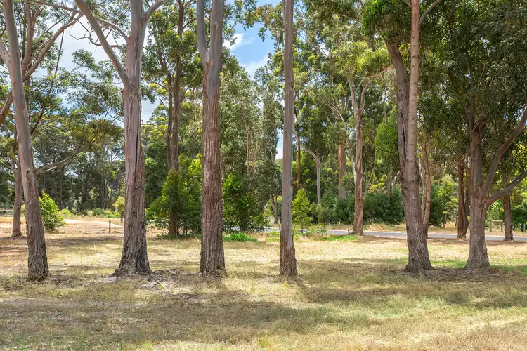 Sixth view of Homely land listing, 45 McManus Circuit, Witchcliffe WA 6286