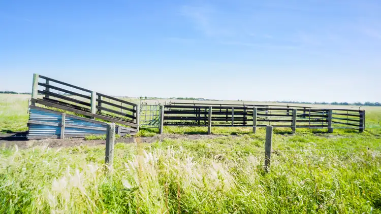 Seventh view of Homely rural property listing, 215 Hogans Road, Bayles VIC 3981