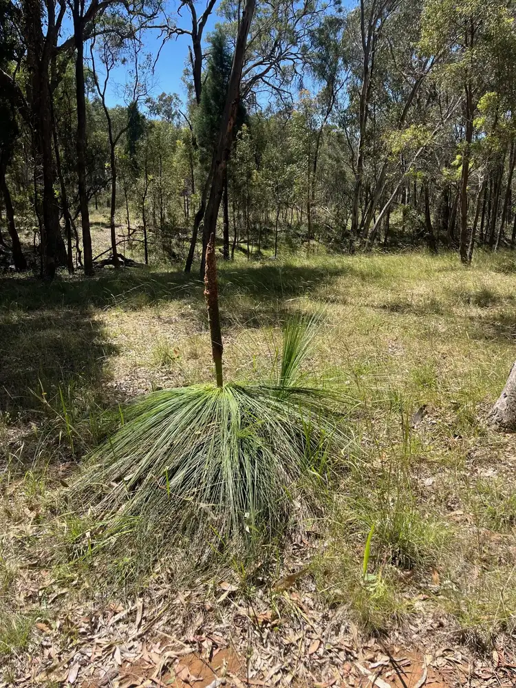Seventh view of Homely land listing, 2 Constellation Ave, Coonabarabran NSW 2357
