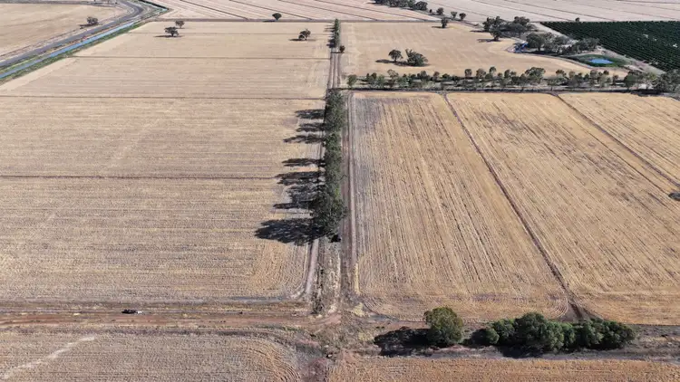 Farm 65 Stoney Point Road, Leeton NSW 2705