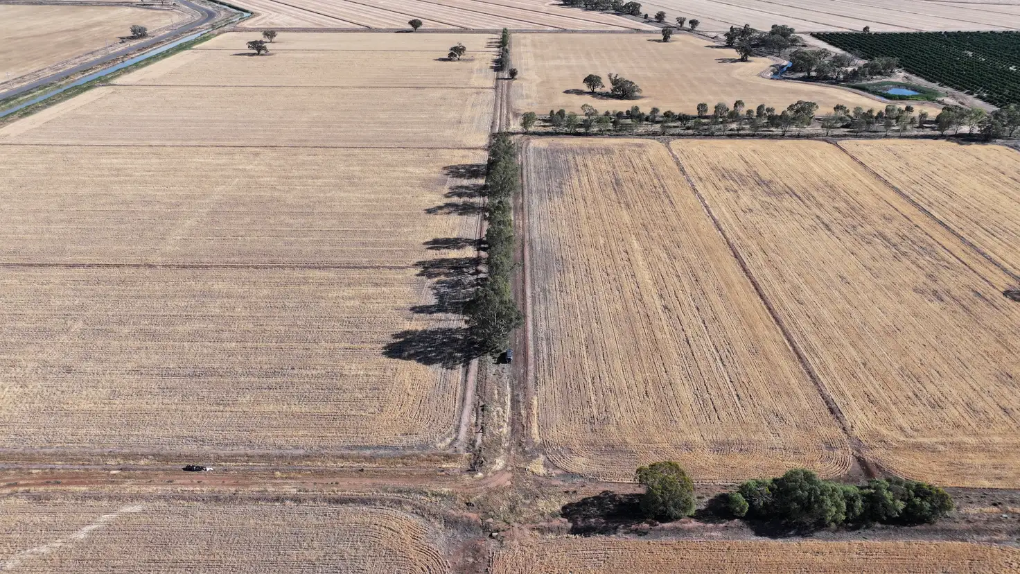 Main view of Homely rural property listing, Farm 65 Stoney Point Road, Leeton NSW 2705