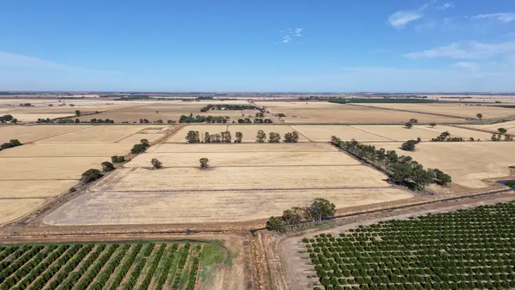 Sixth view of Homely rural property listing, Farm 65 Stoney Point Road, Leeton NSW 2705