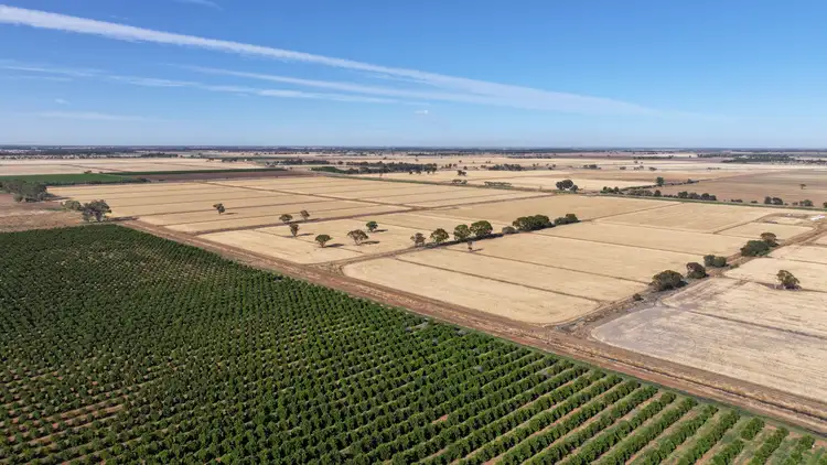 Seventh view of Homely rural property listing, Farm 65 Stoney Point Road, Leeton NSW 2705