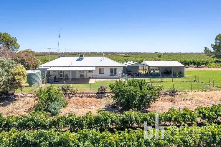 Second view of Homely rural property listing, 247 Markaranka Road, Taylorville SA 5330