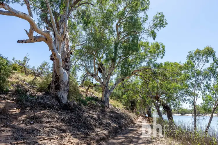 Third view of Homely rural property listing, 247 Markaranka Road, Taylorville SA 5330