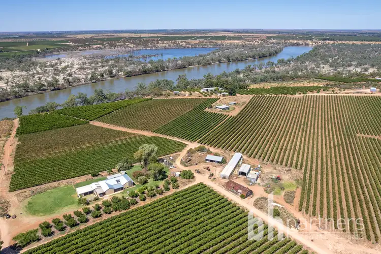 Fifth view of Homely rural property listing, 247 Markaranka Road, Taylorville SA 5330