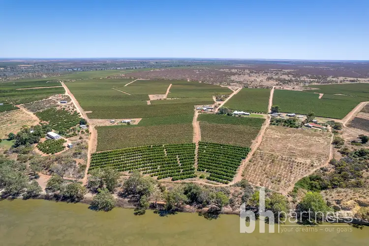 Sixth view of Homely rural property listing, 247 Markaranka Road, Taylorville SA 5330