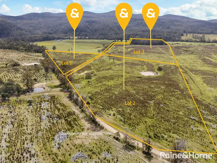 Lots 1, 2 & 3 Rosedale Road, Bicheno TAS 7215