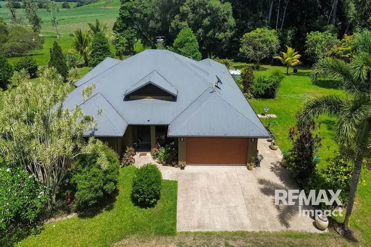 Fifth view of Homely rural property listing, 1937 Mossman-Mount Molloy Road, Julatten QLD 4871