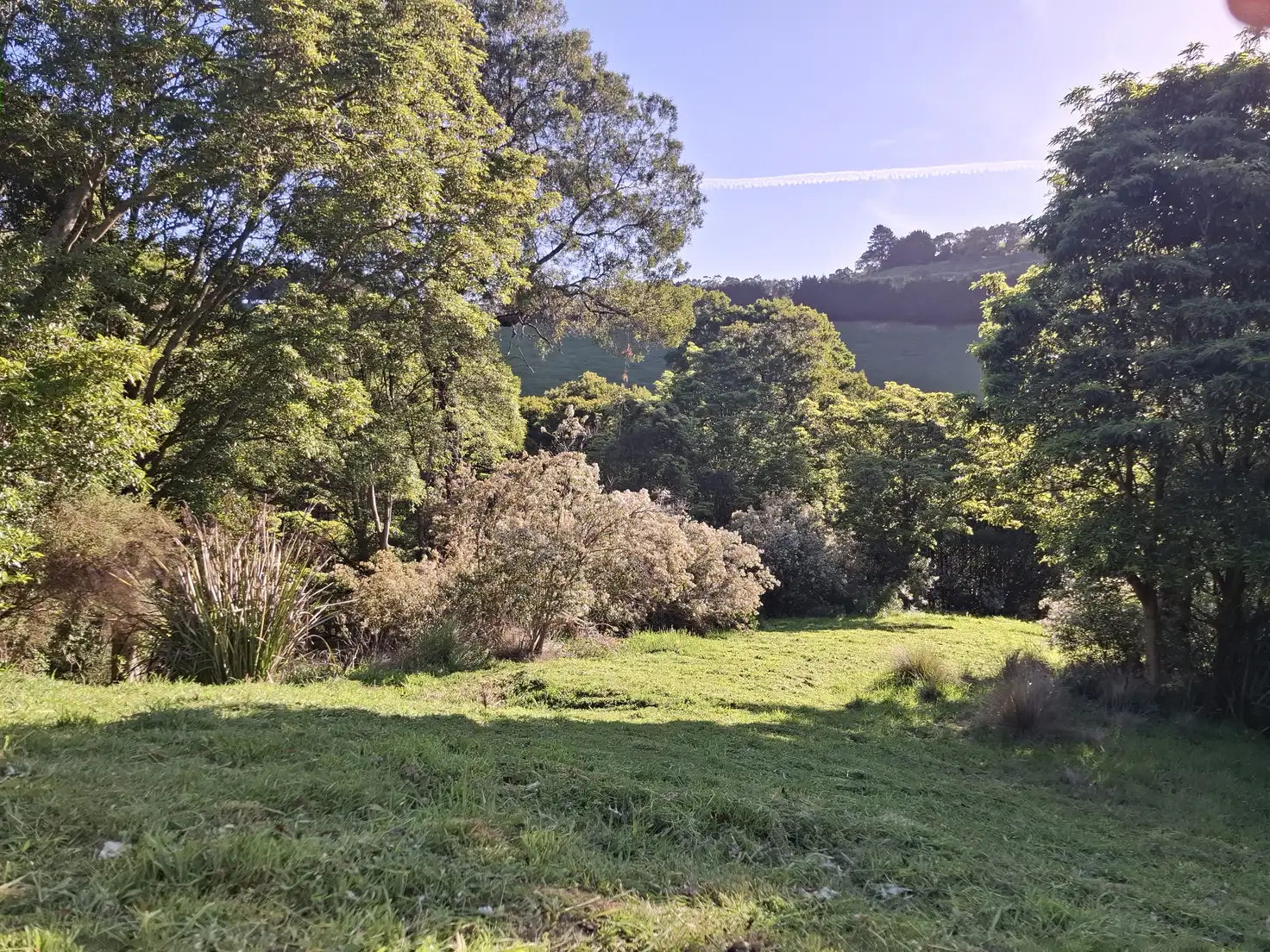 Main view of Homely rural property listing, 273 Boolarra-Foster Road, Foster VIC 3960