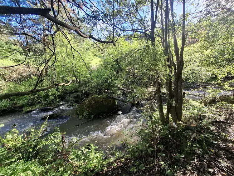 Second view of Homely rural property listing, 273 Boolarra-Foster Road, Foster VIC 3960