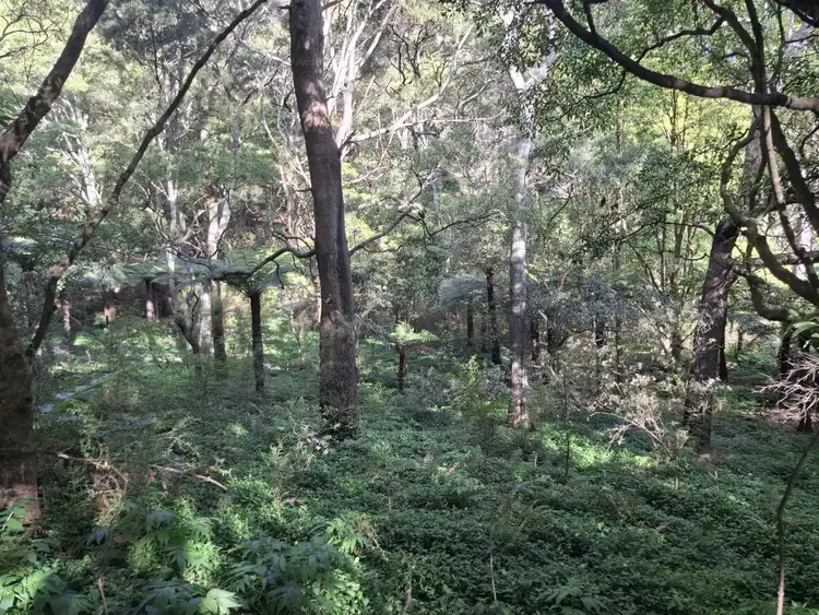 Third view of Homely rural property listing, 273 Boolarra-Foster Road, Foster VIC 3960