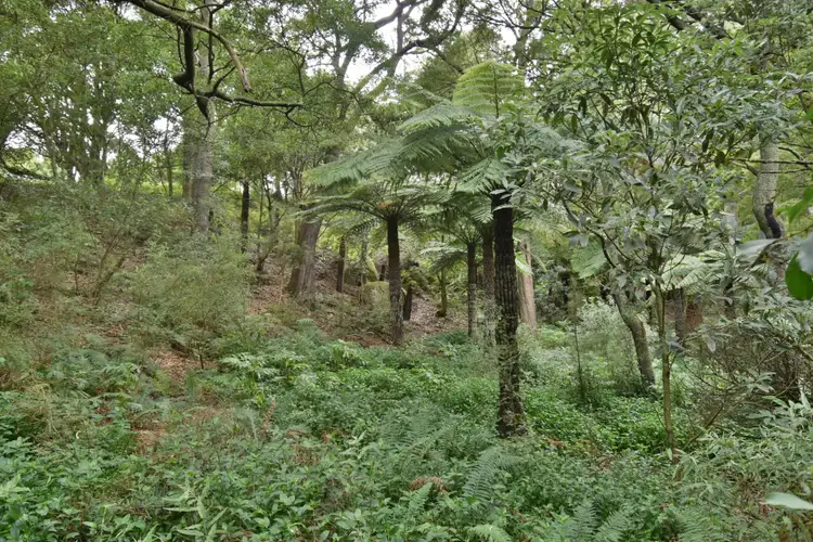 Fourth view of Homely rural property listing, 273 Boolarra-Foster Road, Foster VIC 3960