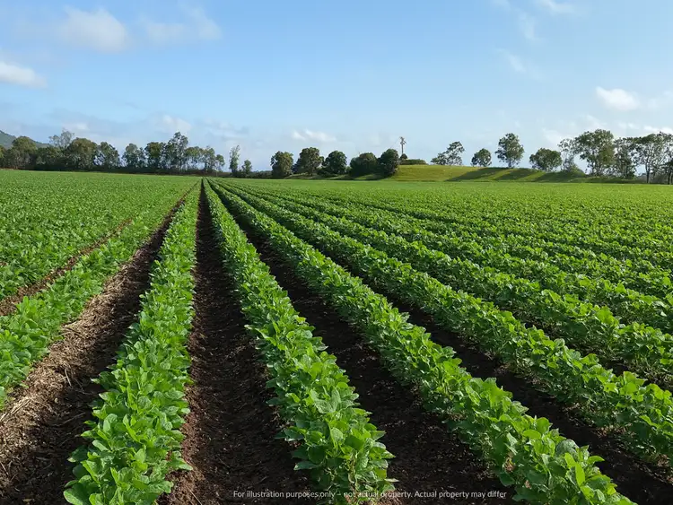 Third view of Homely rural property listing, Lot 2 Hillyards Road Via Summerland Way, Boorabee Park NSW 2480