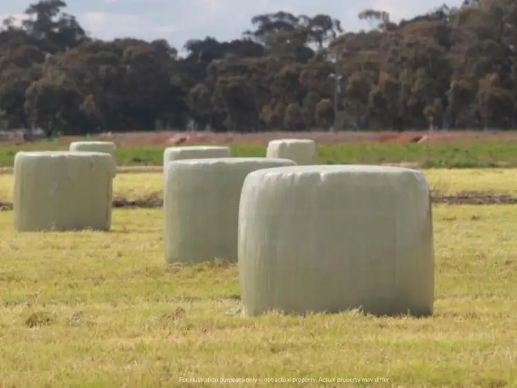 Fourth view of Homely rural property listing, Lot 2 Hillyards Road Via Summerland Way, Boorabee Park NSW 2480