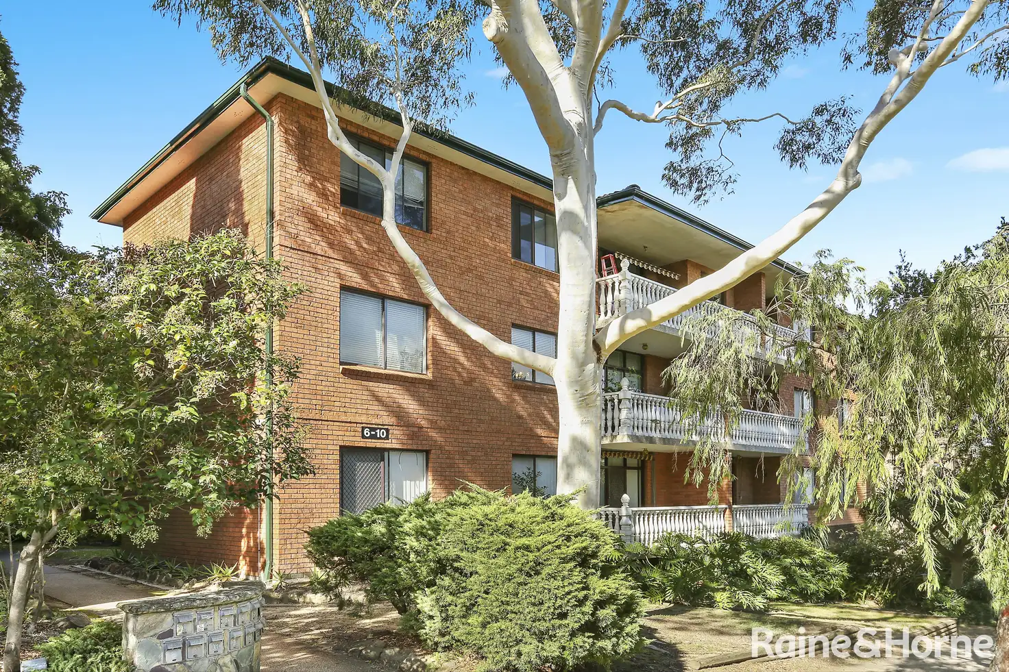 Main view of Homely unit listing, 6/6 Winchester Street, Carlton NSW 2218